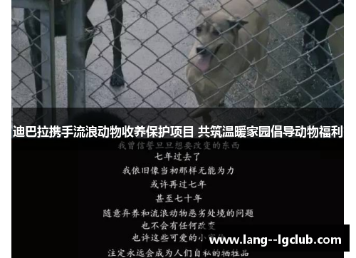 迪巴拉携手流浪动物收养保护项目 共筑温暖家园倡导动物福利