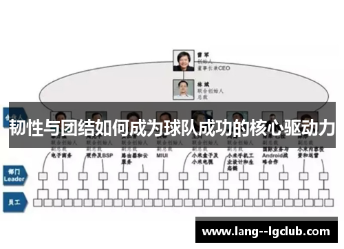 韧性与团结如何成为球队成功的核心驱动力