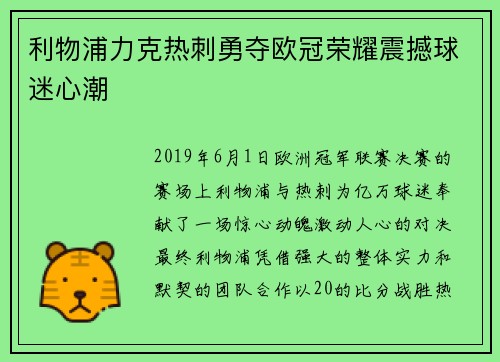 利物浦力克热刺勇夺欧冠荣耀震撼球迷心潮
